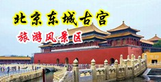 美女搞基插入内射在里中国北京-东城古宫旅游风景区